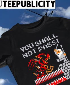 The Lord of the Rings you shall not pass video game shirt