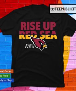 Arizona Cardinals NFL Rise Up Red Sea Hooded Sweatshirt