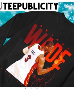 Dwyane Wade Miami Heat Basketball t-shirt, hoodie, sweater and long sleeve